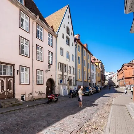Lejlighed 15th Century Flat With Parking, High Ceilings *