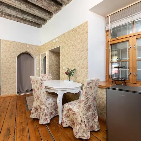 15th Century Flat With Parking, High Ceilings タリン