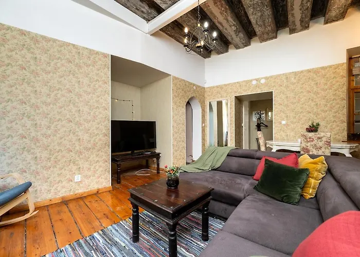 公寓 15th Century Flat With Parking, High Ceilings 塔林