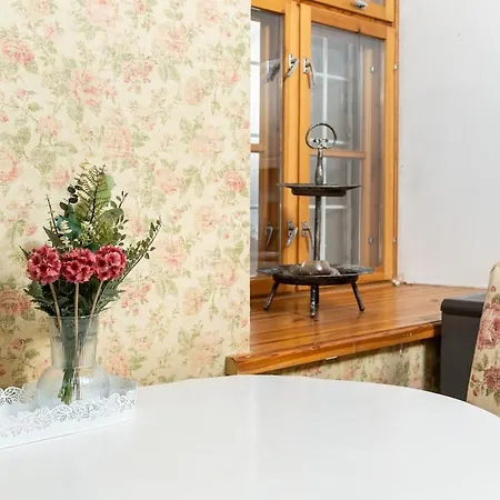 15th Century Flat With Parking, High Ceilings Apartman *