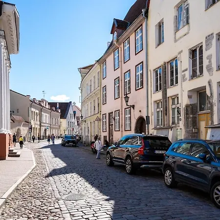 アパート 15th Century Flat With Parking, High Ceilings タリン